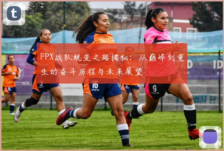 FPX战队蜕变之路揭秘：从巅峰到重生的奋斗历程与未来展望